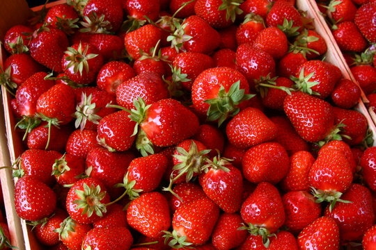 🍓🍓🍓Почему нужно есть клубнику каждый день